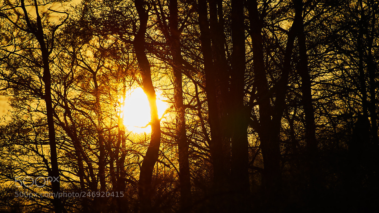 Sony SLT-A58 sample photo. Sunset photography