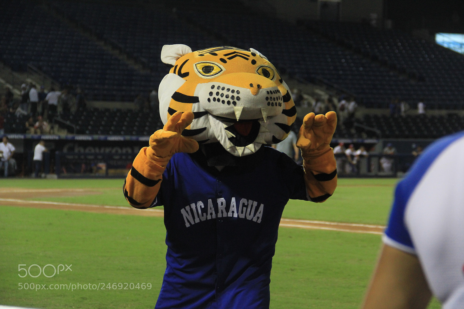 Canon EF-S 18-135mm F3.5-5.6 IS sample photo. Estadio nacional dennis mart photography