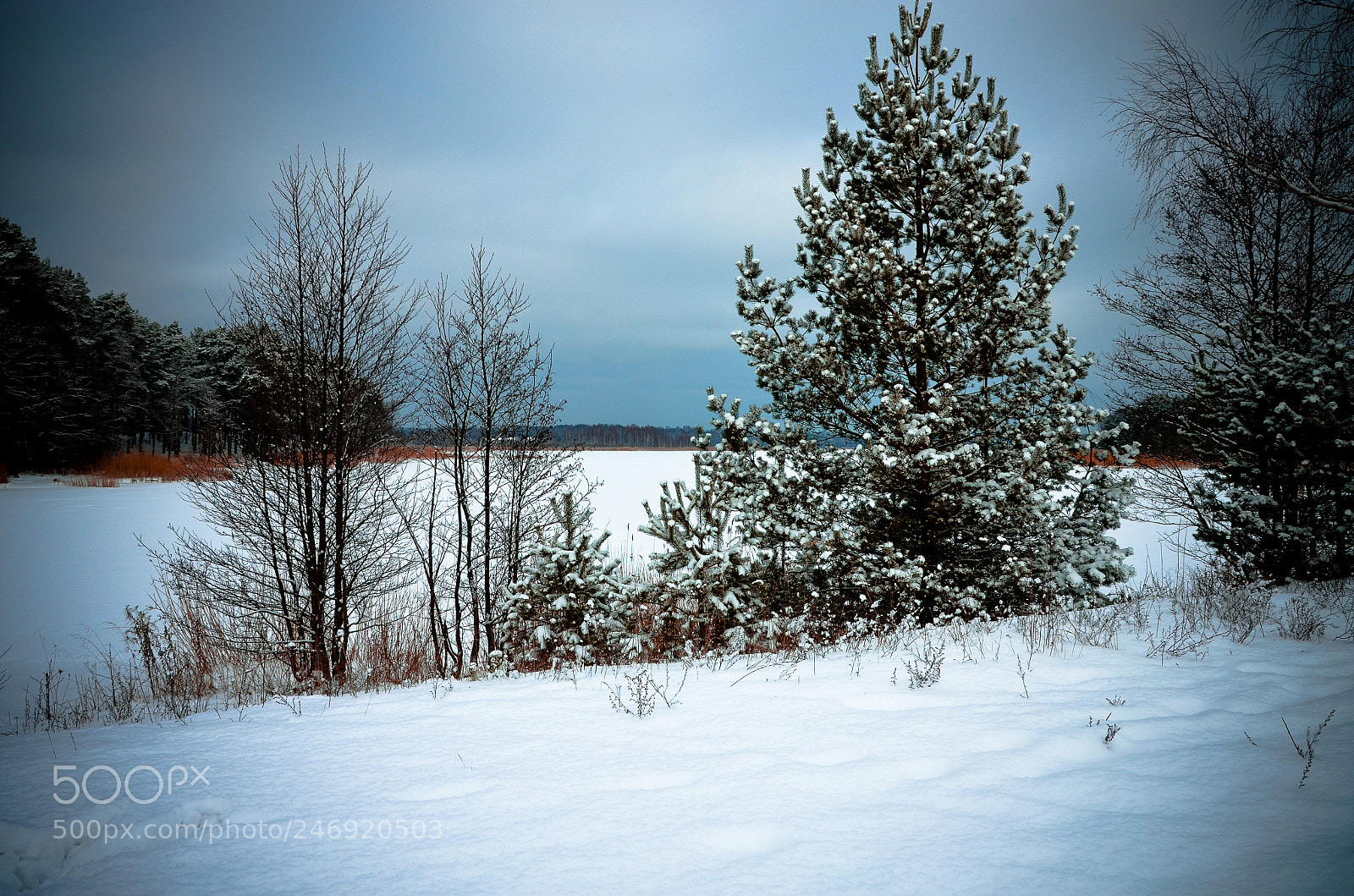 Nikon D5100 sample photo. Ice-bound river photography