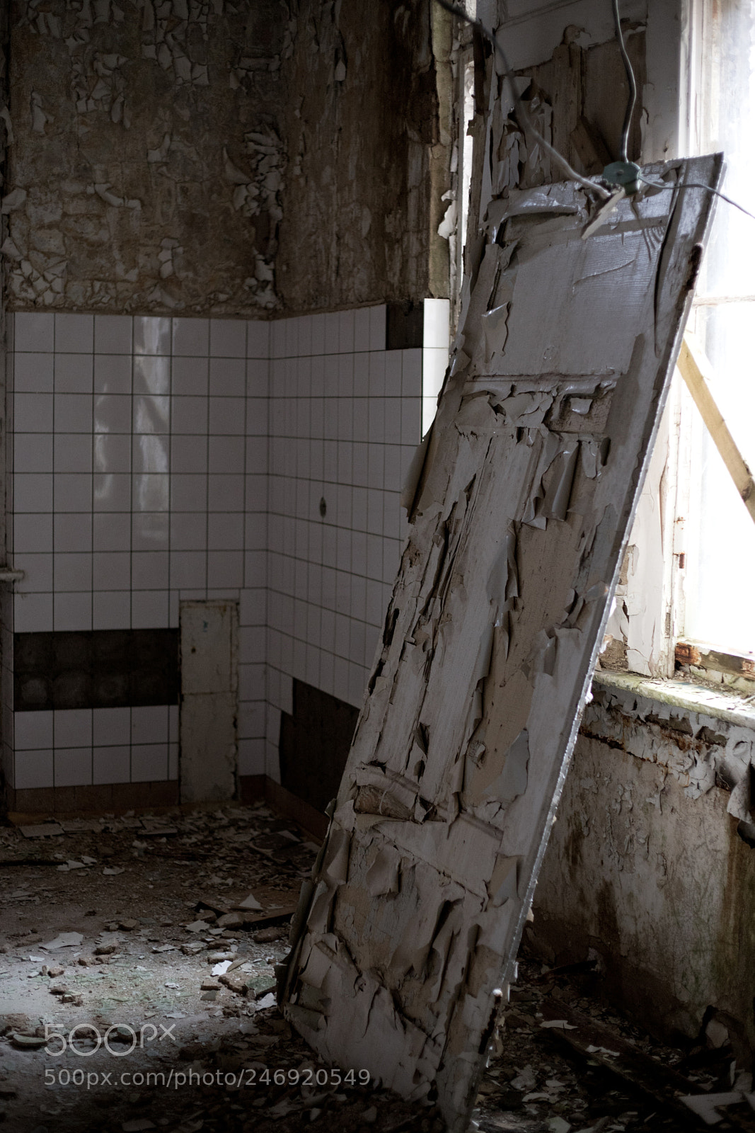 Canon EOS 6D Mark II sample photo. Door photography