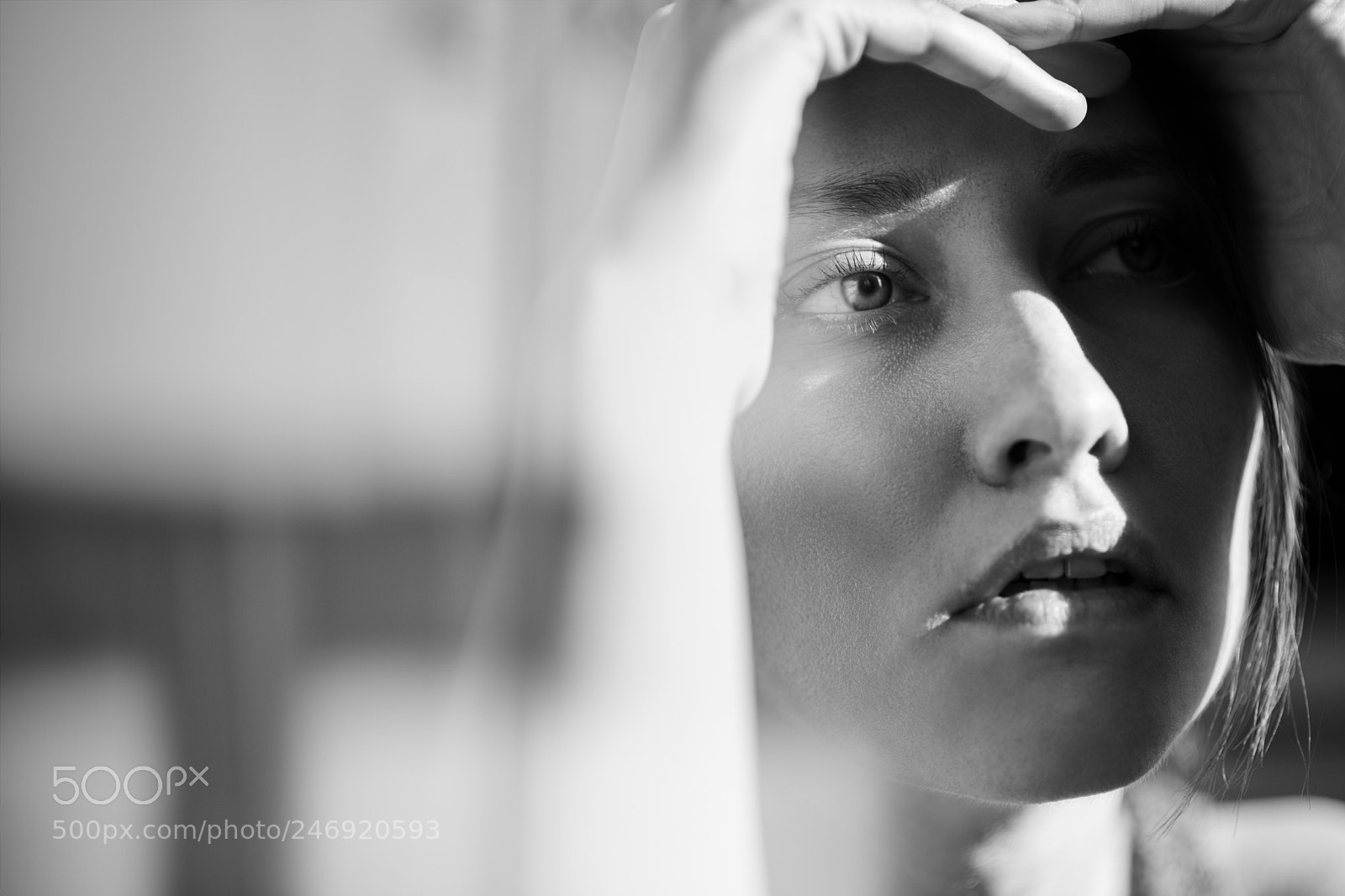 Nikon D850 sample photo. Sandra photography