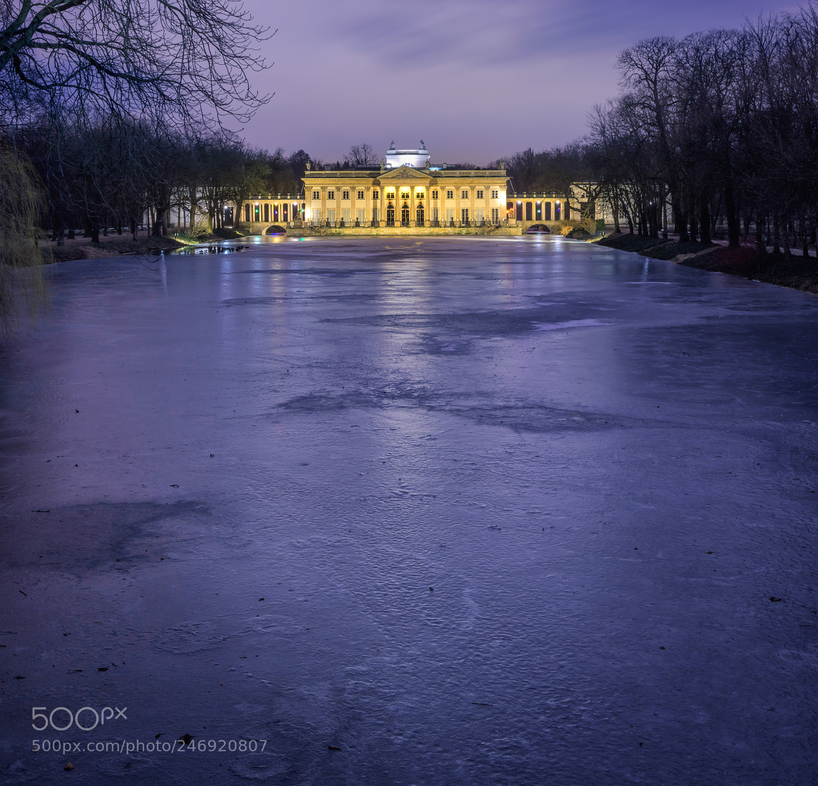 Nikon D7200 sample photo. Palace on ice photography