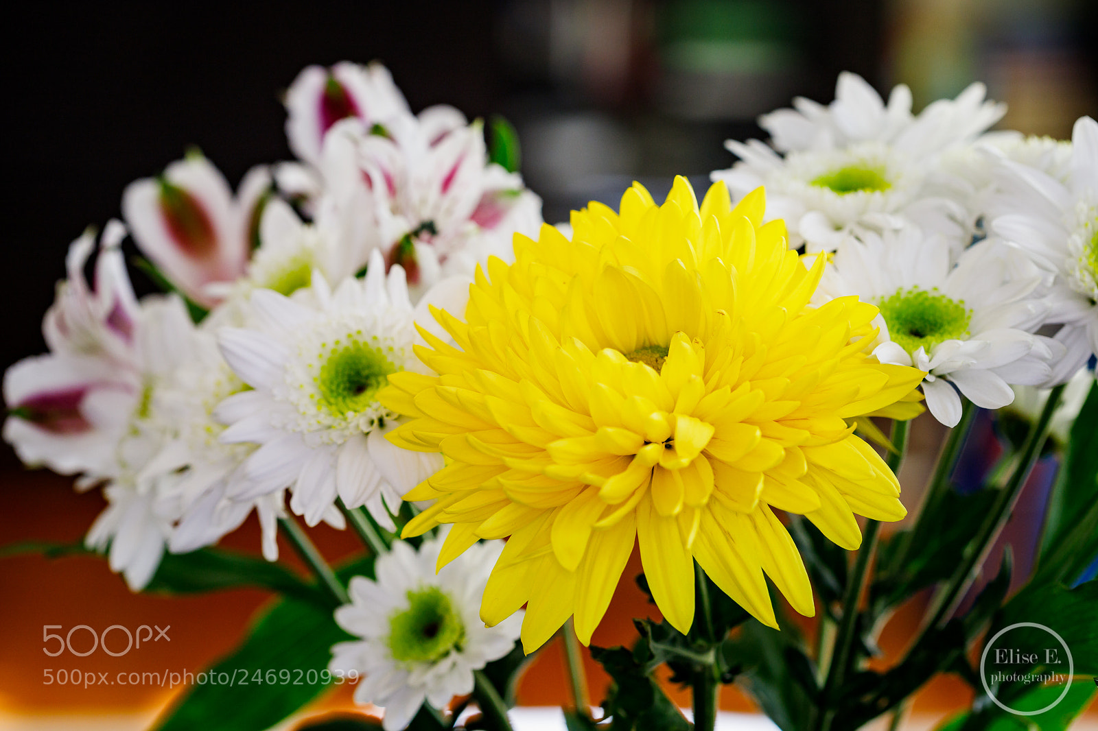 Canon EOS 6D Mark II sample photo. Untitled photography