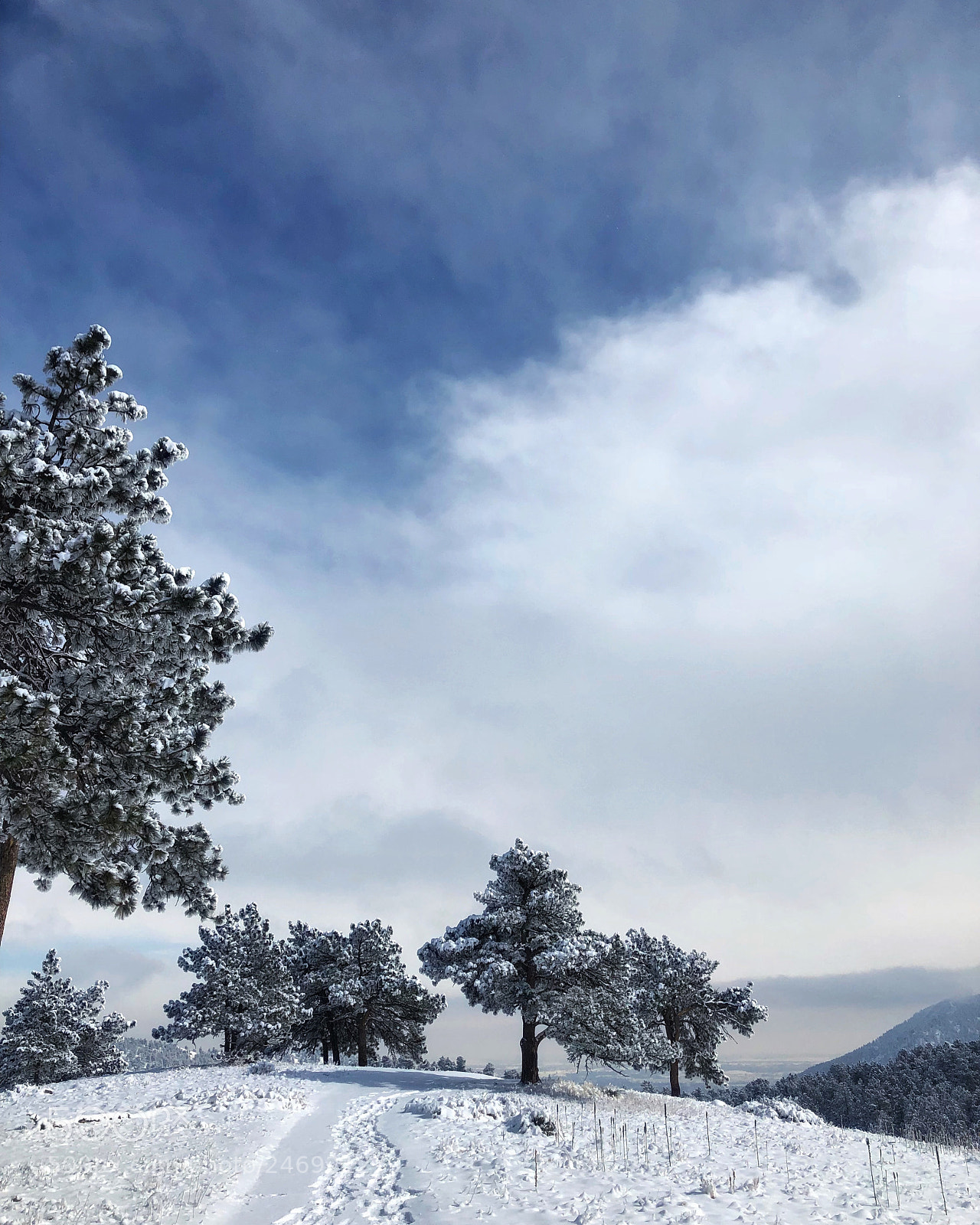 Apple iPhone 8 Plus sample photo. Snow walk photography