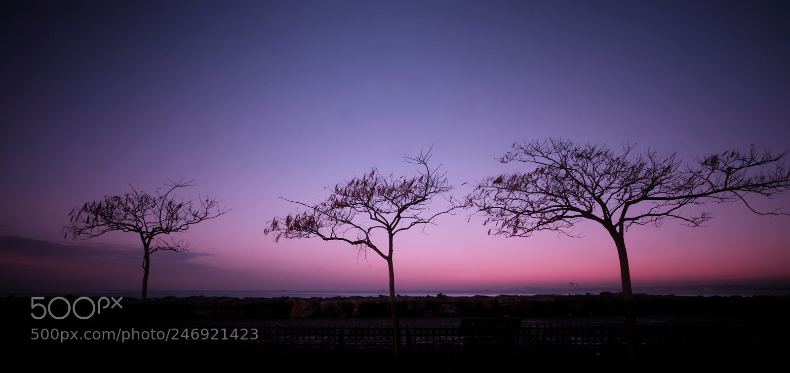 Fujifilm X-Pro2 sample photo. X photography