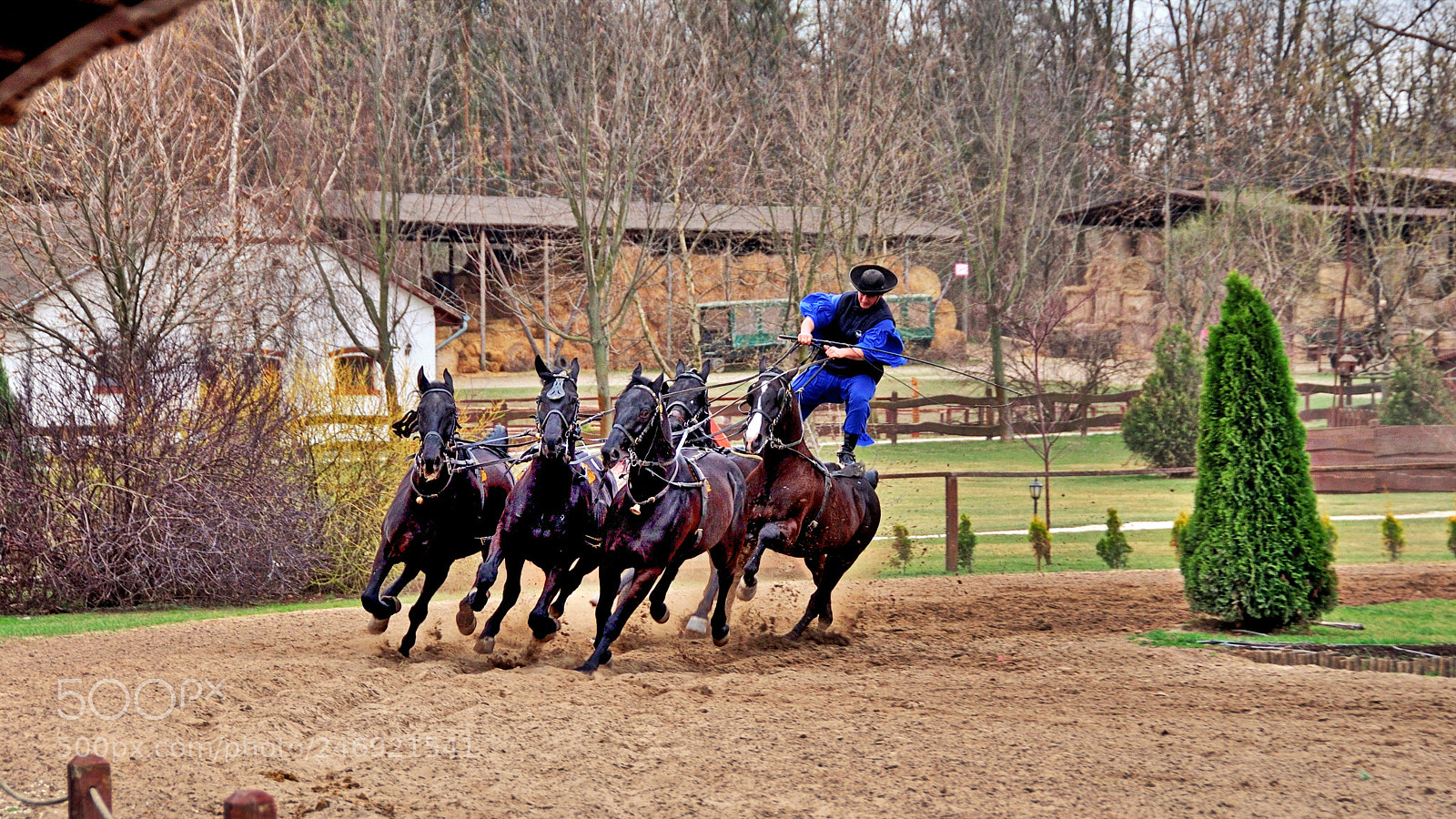 Nikon D90 sample photo. Horse race in hungary photography