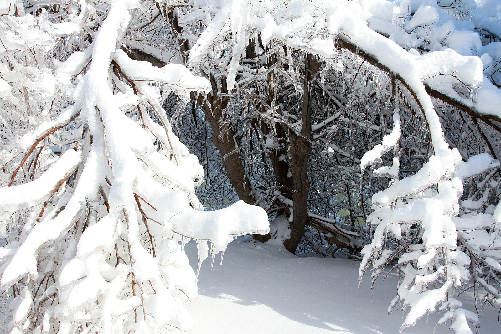 Canon EOS 7D + Canon EF 17-40mm F4L USM sample photo. Snow photography