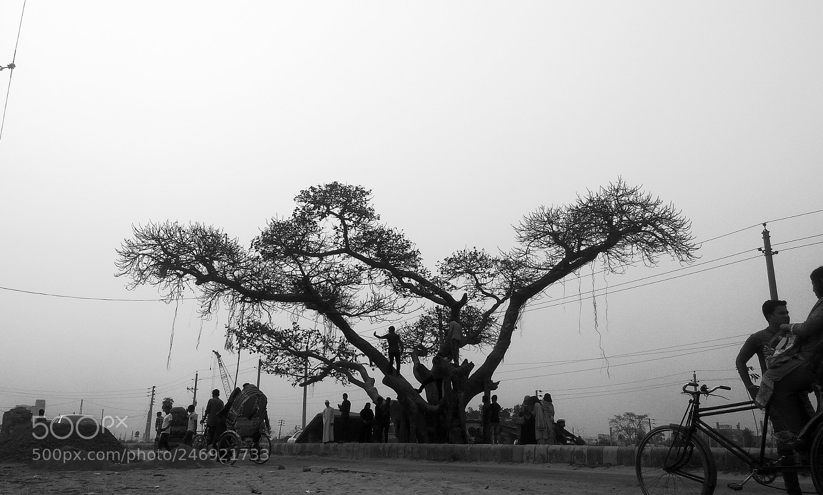 Xiaomi Redmi Note3 sample photo. Untitled photography