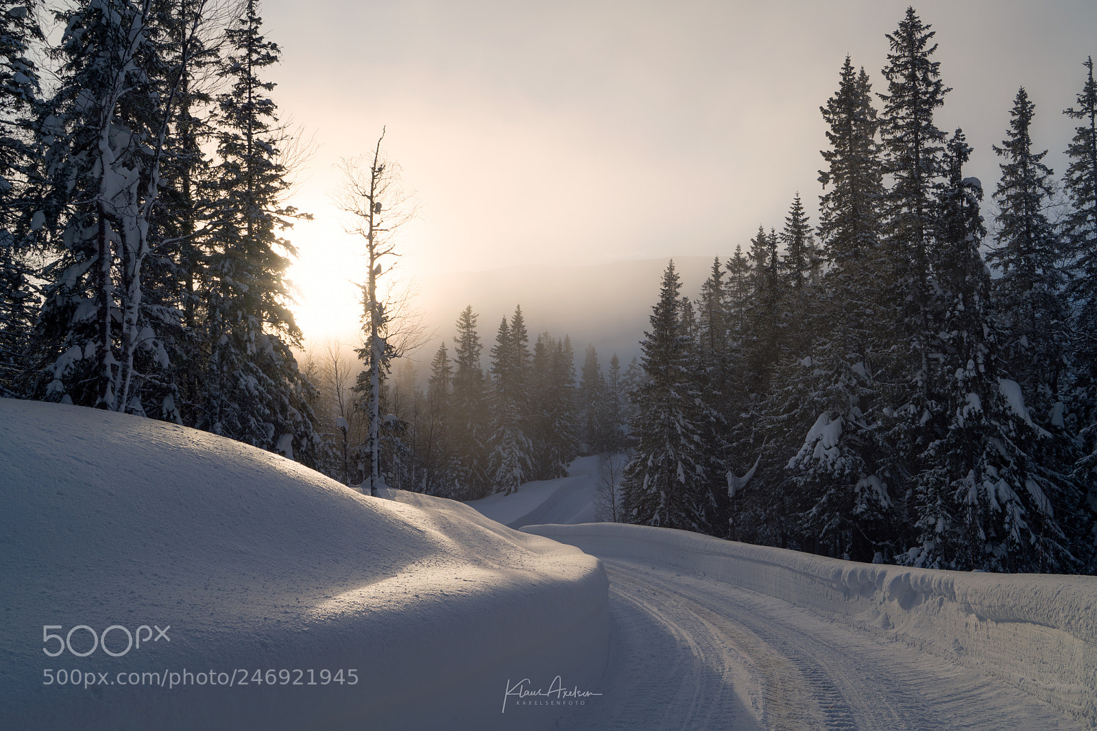 Sony a7R II sample photo. "a glimpse of light" photography