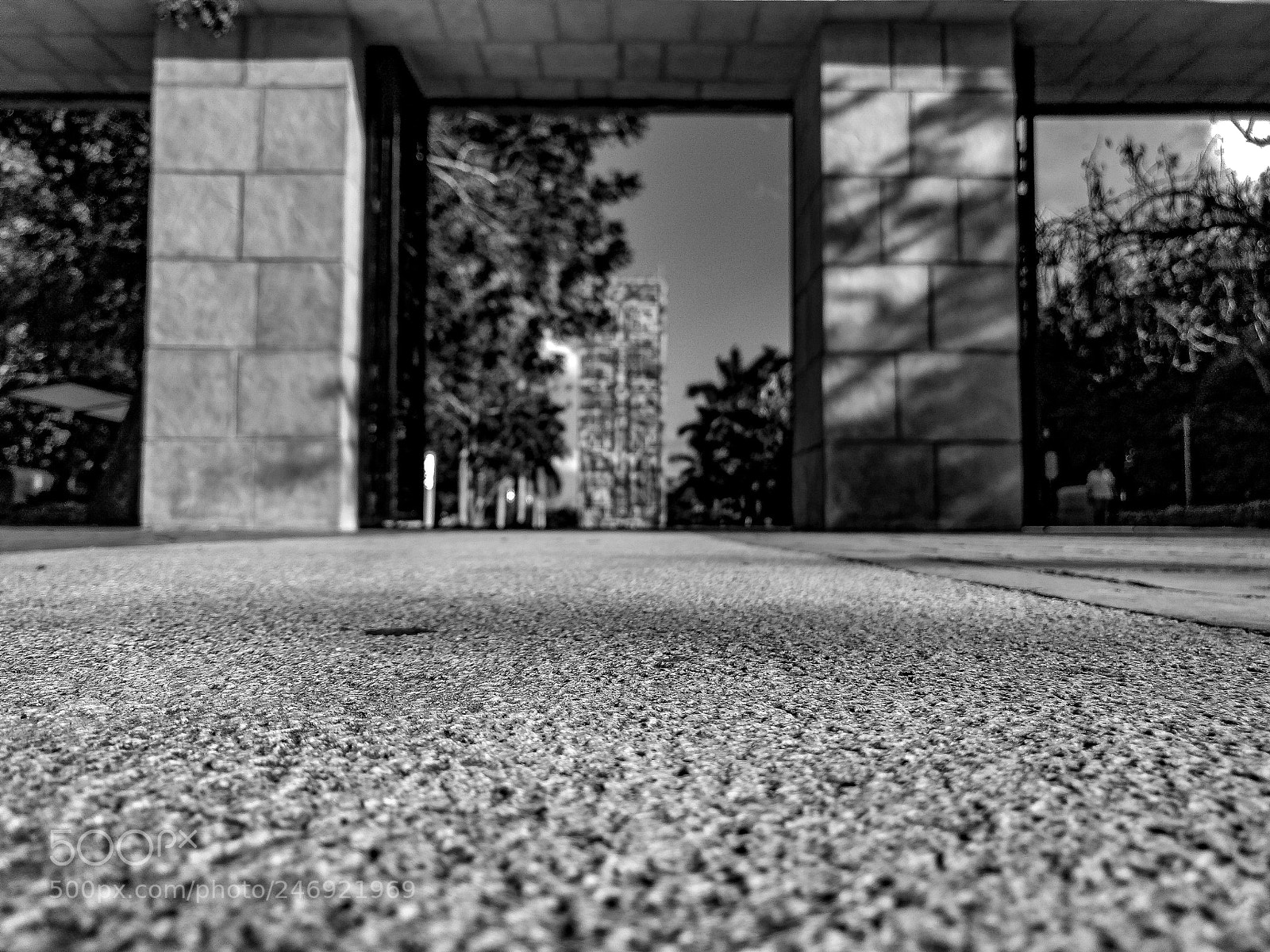Motorola Moto G (4) sample photo. Entrada photography