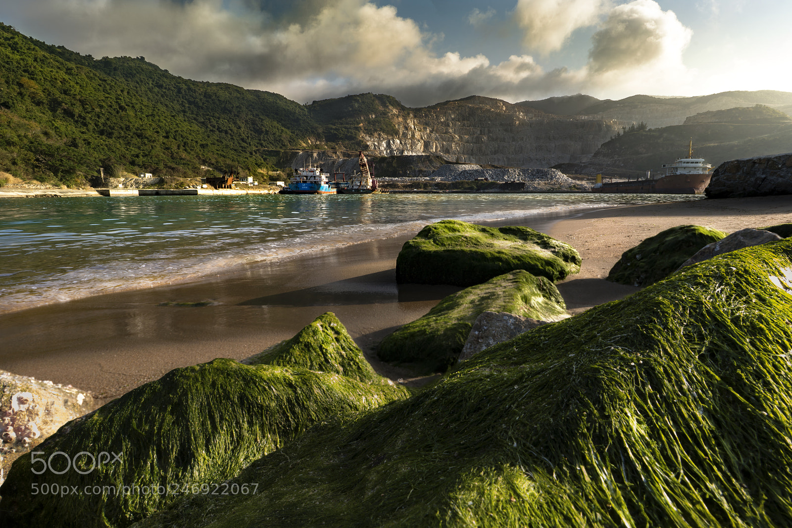 Sony a7R II sample photo. Thoth green photography