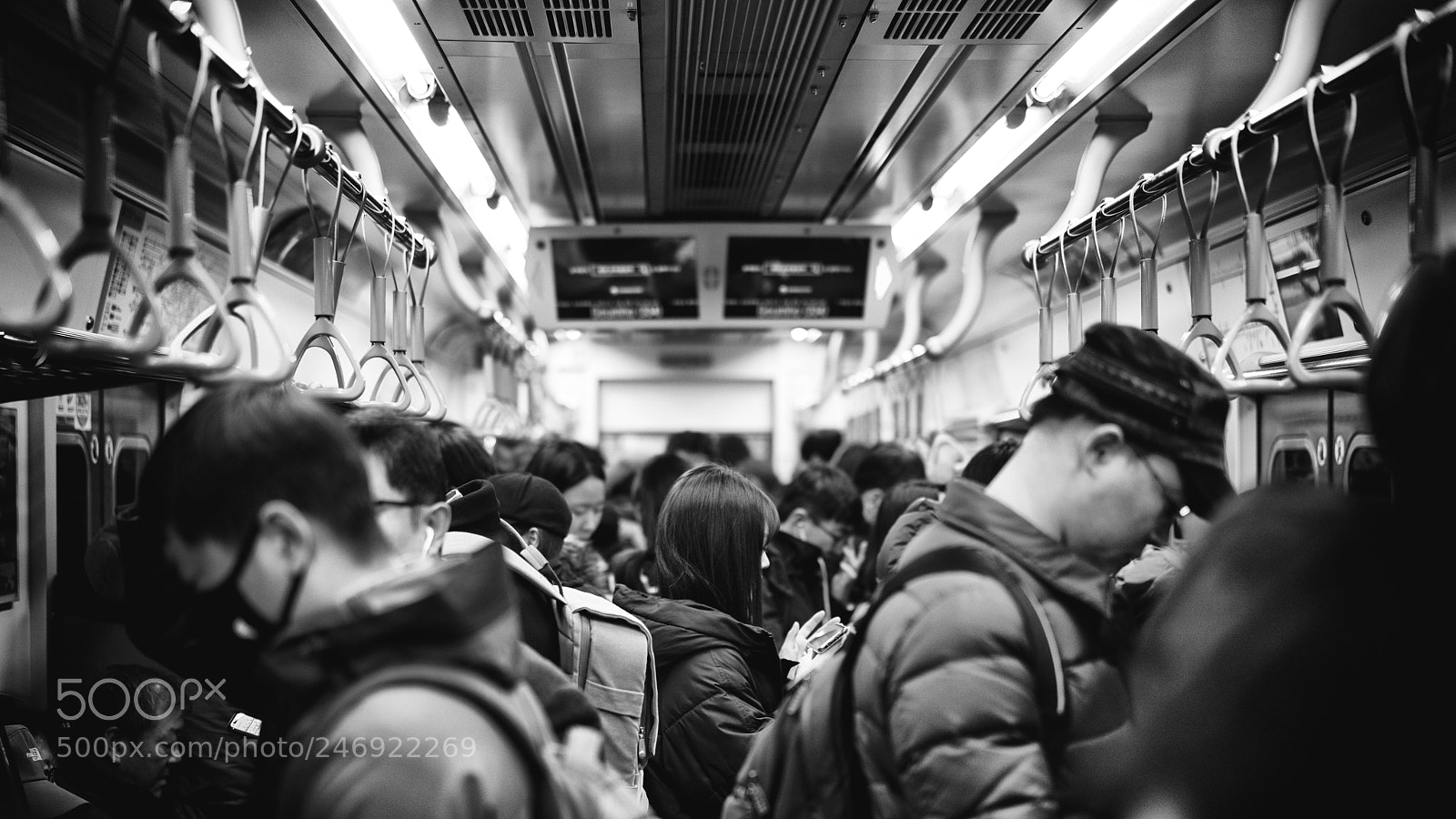 Sony a7R II sample photo. The girl on the photography