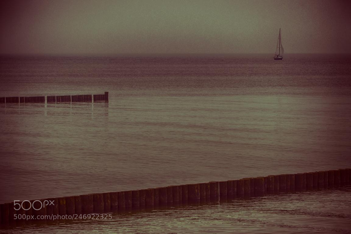 Nikon D5100 sample photo. Hiddensee photography