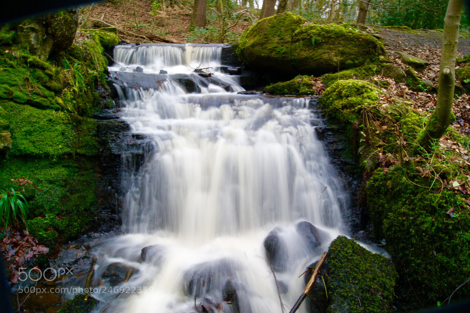 Sony Alpha DSLR-A290 sample photo. Peak district waterfall photography