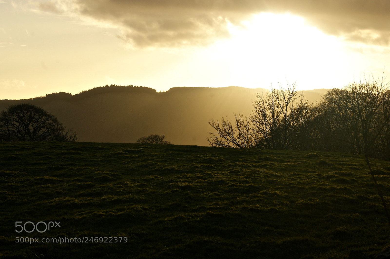 Sony Alpha DSLR-A290 sample photo. Sunset photography