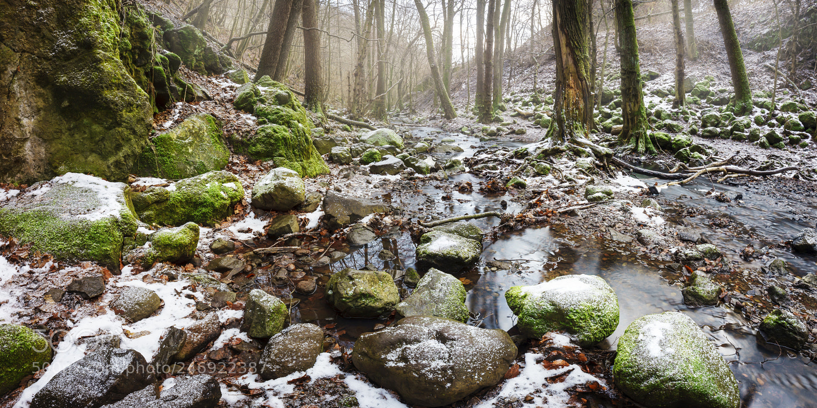 Sony a7 II sample photo. Bükkös creek photography