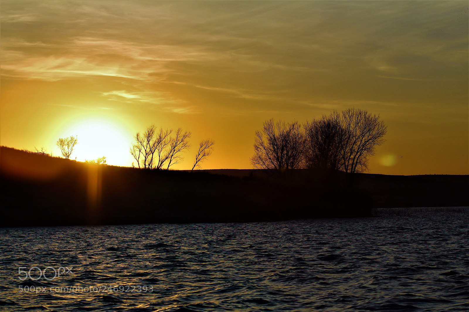 Canon EOS 1300D (EOS Rebel T6 / EOS Kiss X80) sample photo. Golden sunset photography