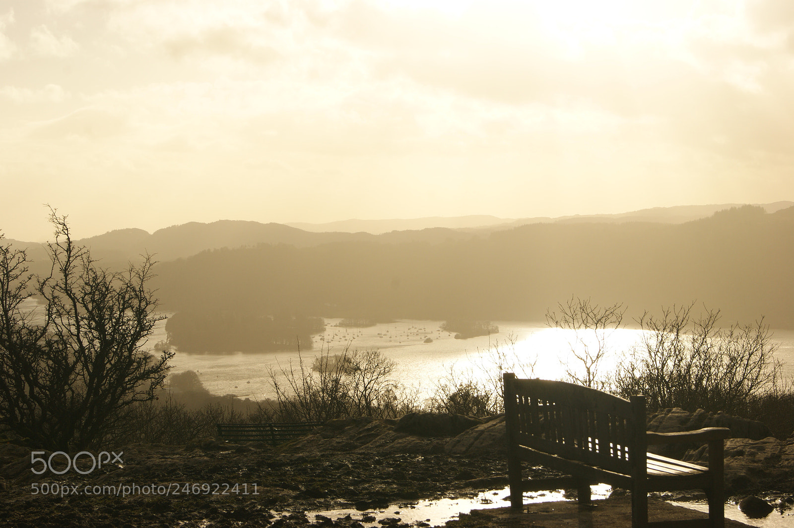 Sony Alpha DSLR-A290 sample photo. Untitled photography