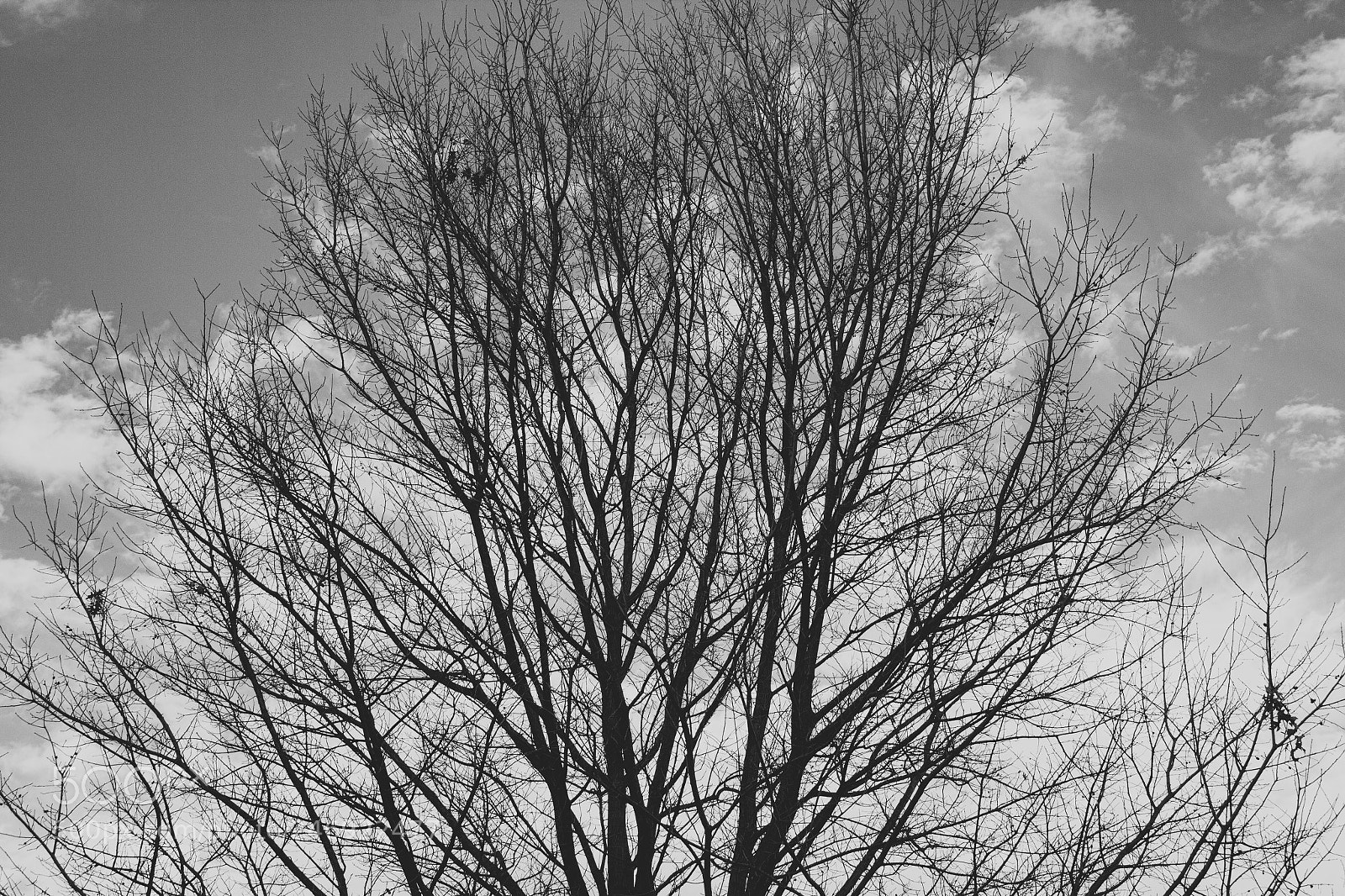 Canon EOS 60D sample photo. And now i feel photography