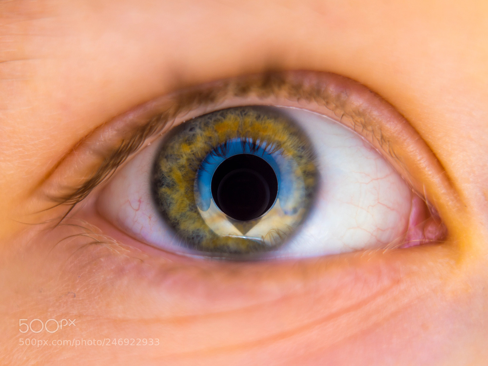 Sony a7 II sample photo. 043/365: eye photography