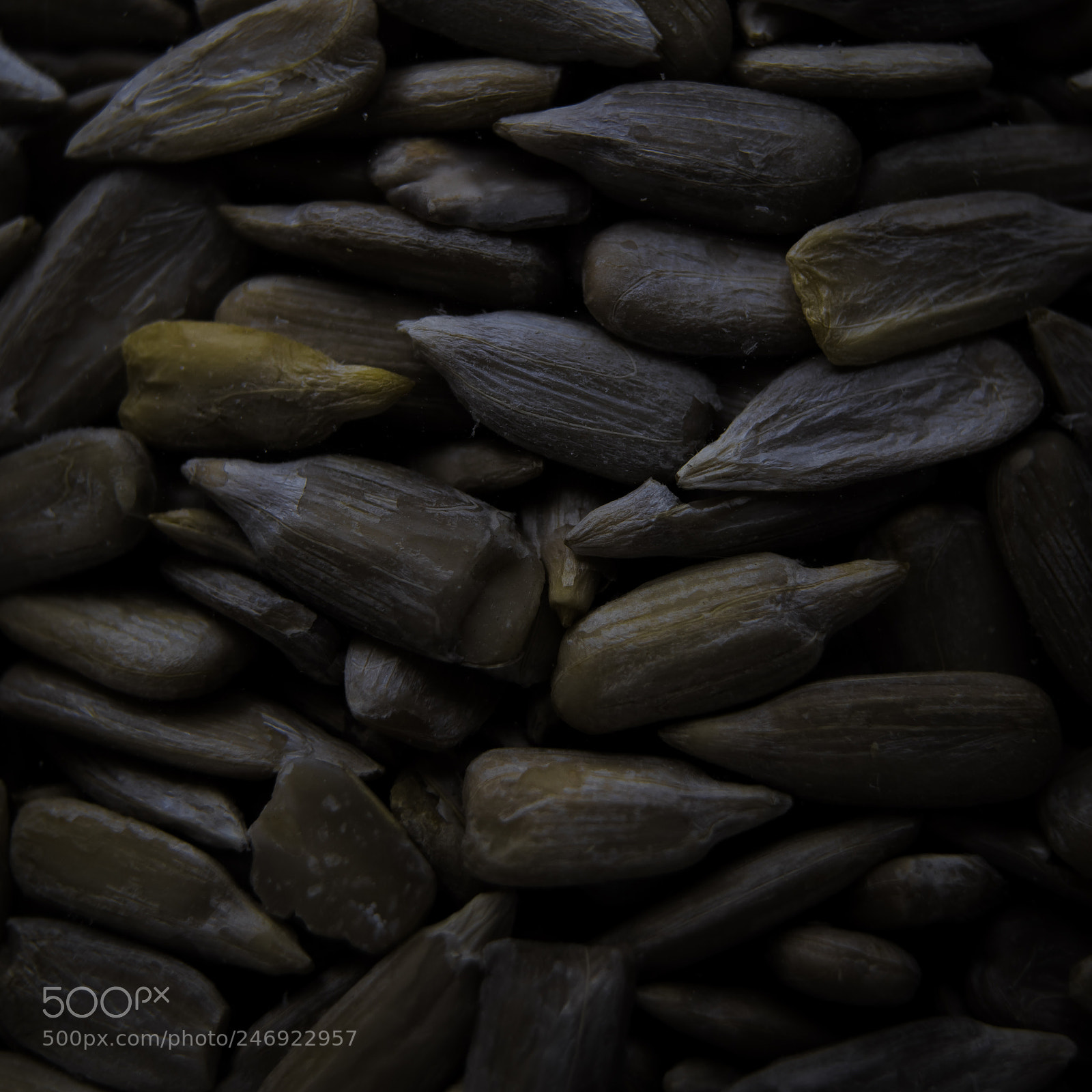 Sony a7 II sample photo. 046/365: sunflower seeds photography