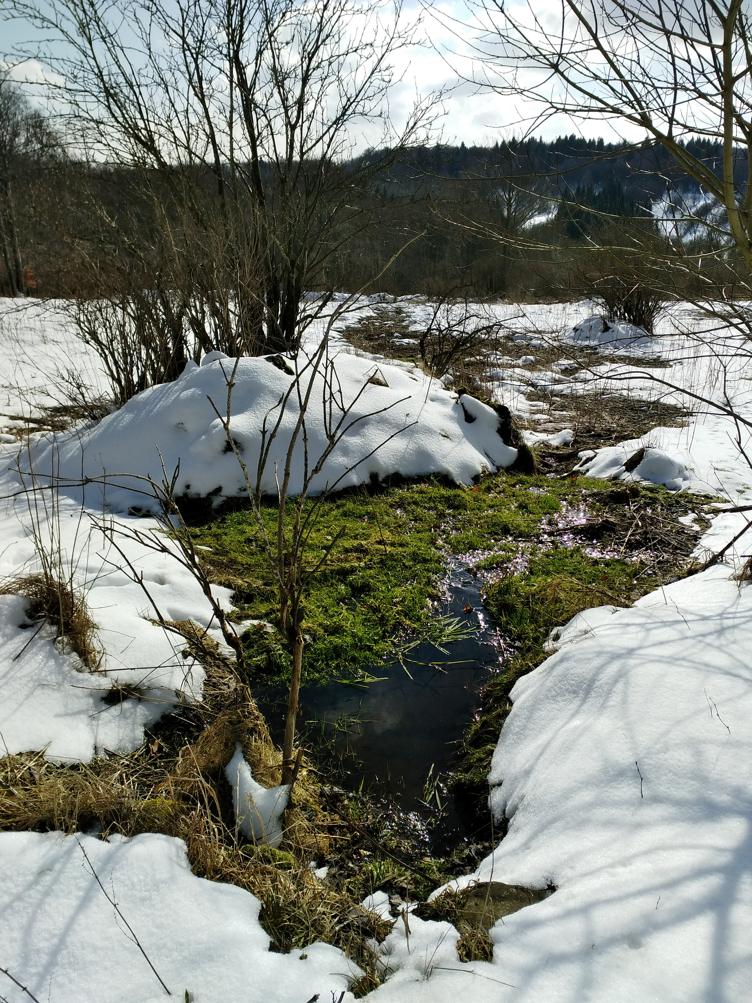 ZTE B2017G sample photo. Rhön photography