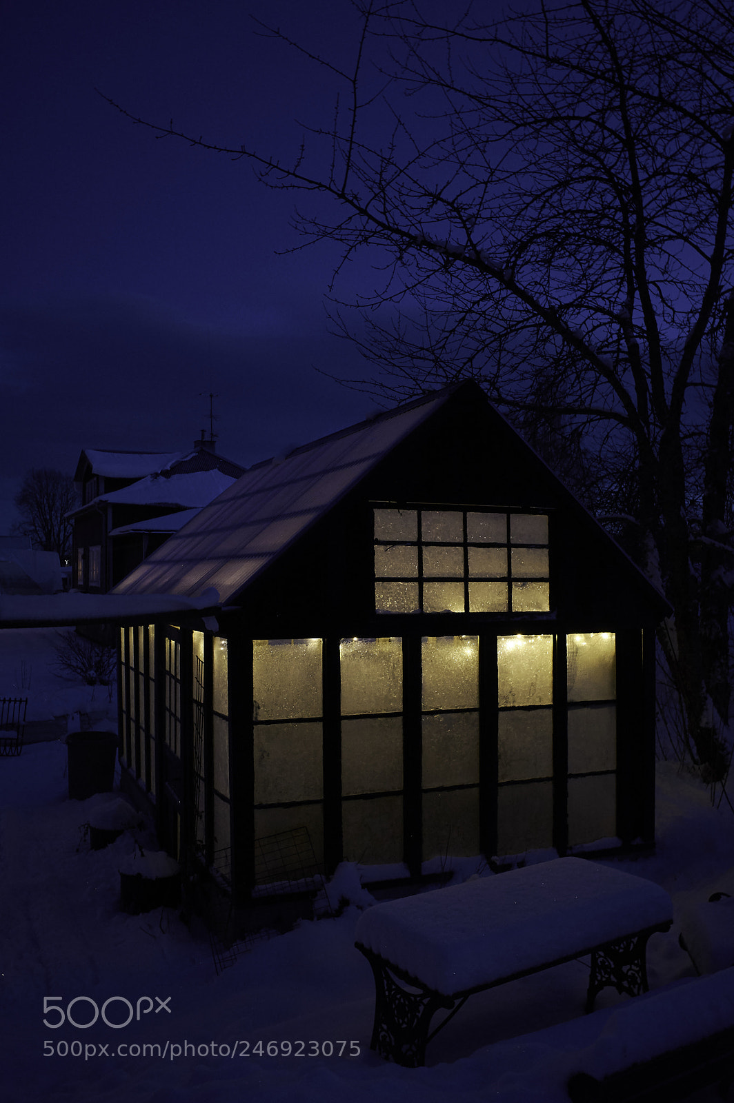 Nikon D5200 sample photo. Winter greenhouse photography