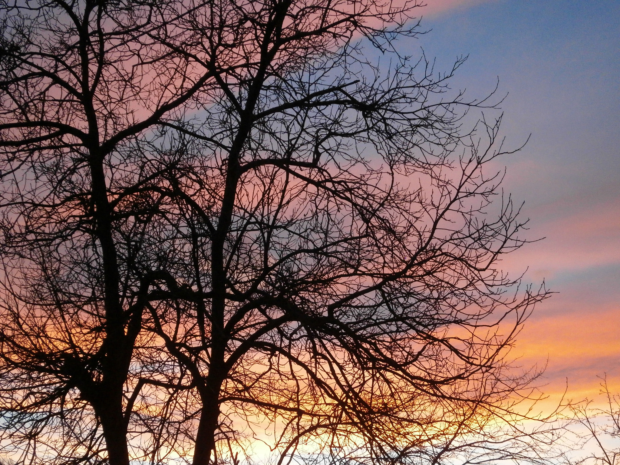 Olympus VG170 sample photo. Silky sunset sky photography