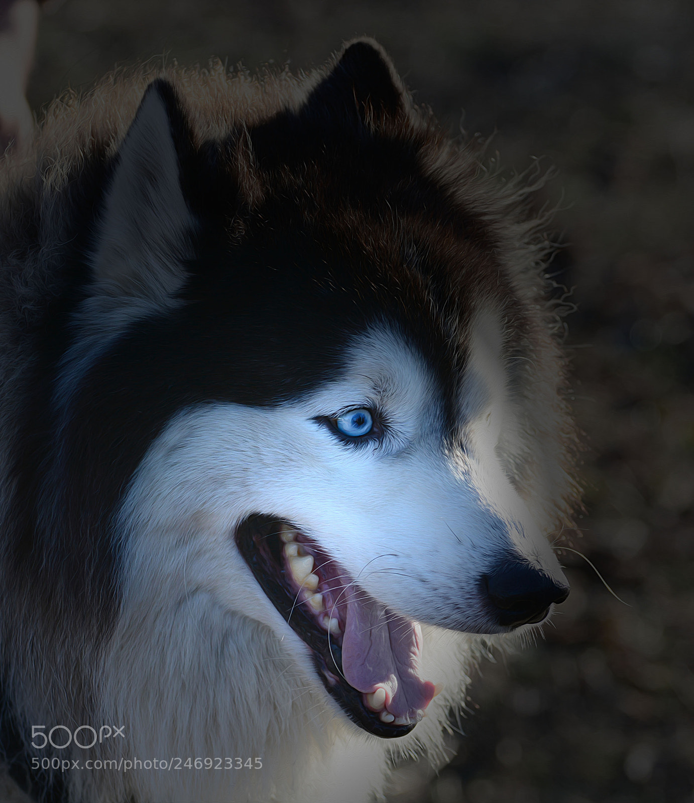 Nikon D7100 sample photo. Untitled photography