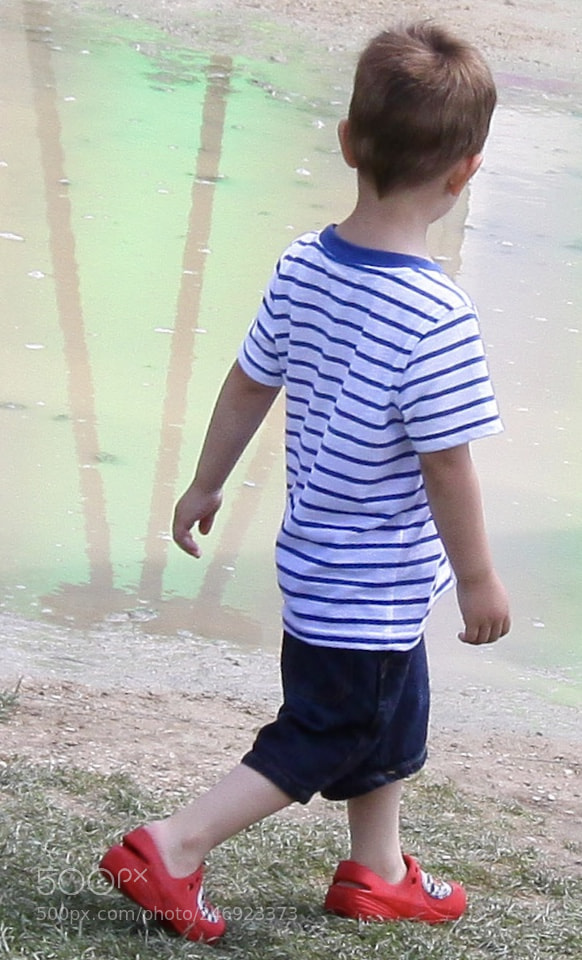 Canon EOS 50D sample photo. Morning. walk photography