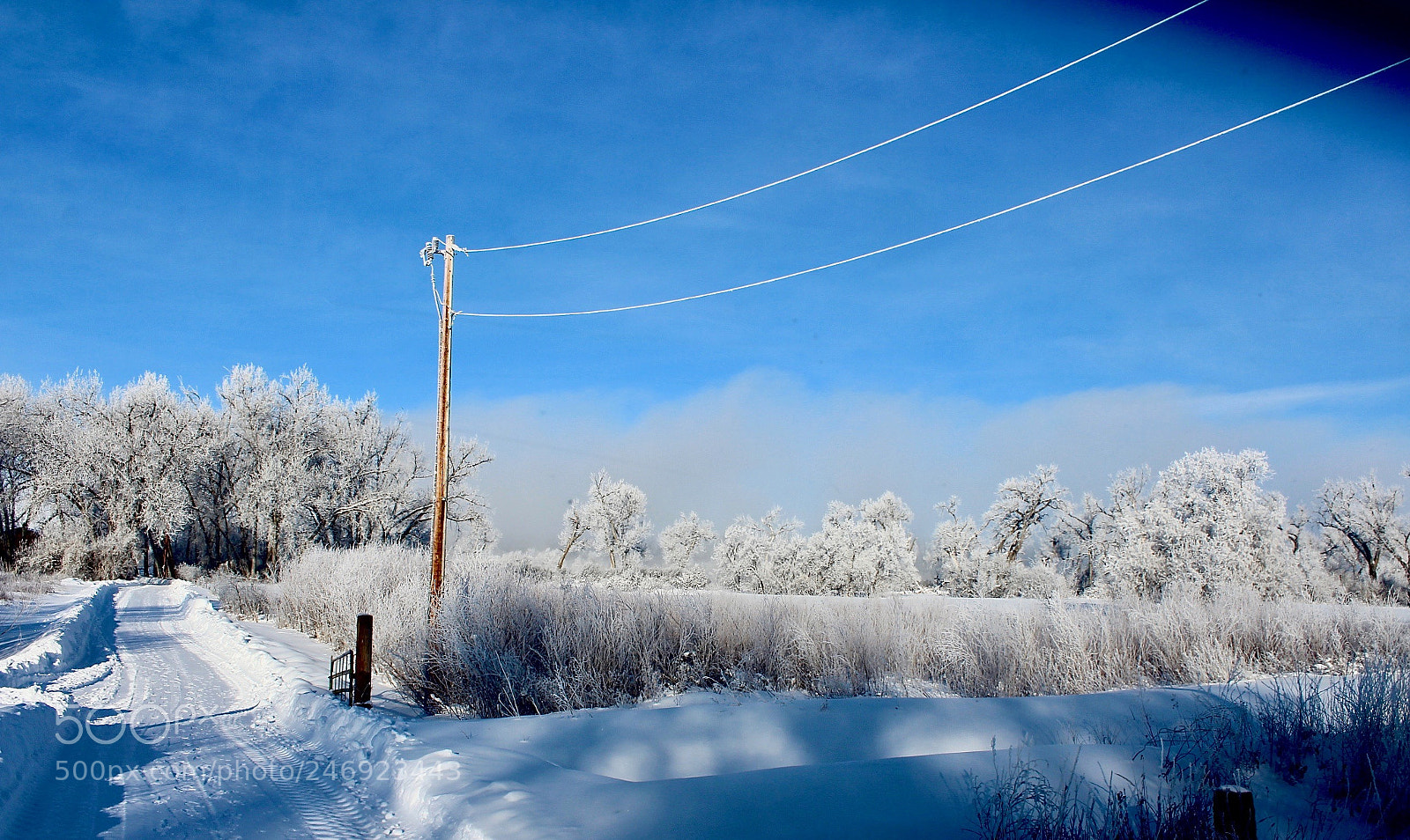 Canon EOS 600D (Rebel EOS T3i / EOS Kiss X5) sample photo. Ice fog cometh #4 photography