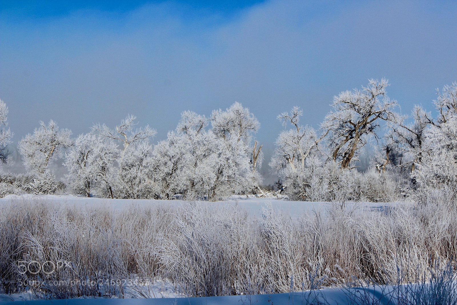 Canon EOS 600D (Rebel EOS T3i / EOS Kiss X5) sample photo. Ice fog cometh #2 photography