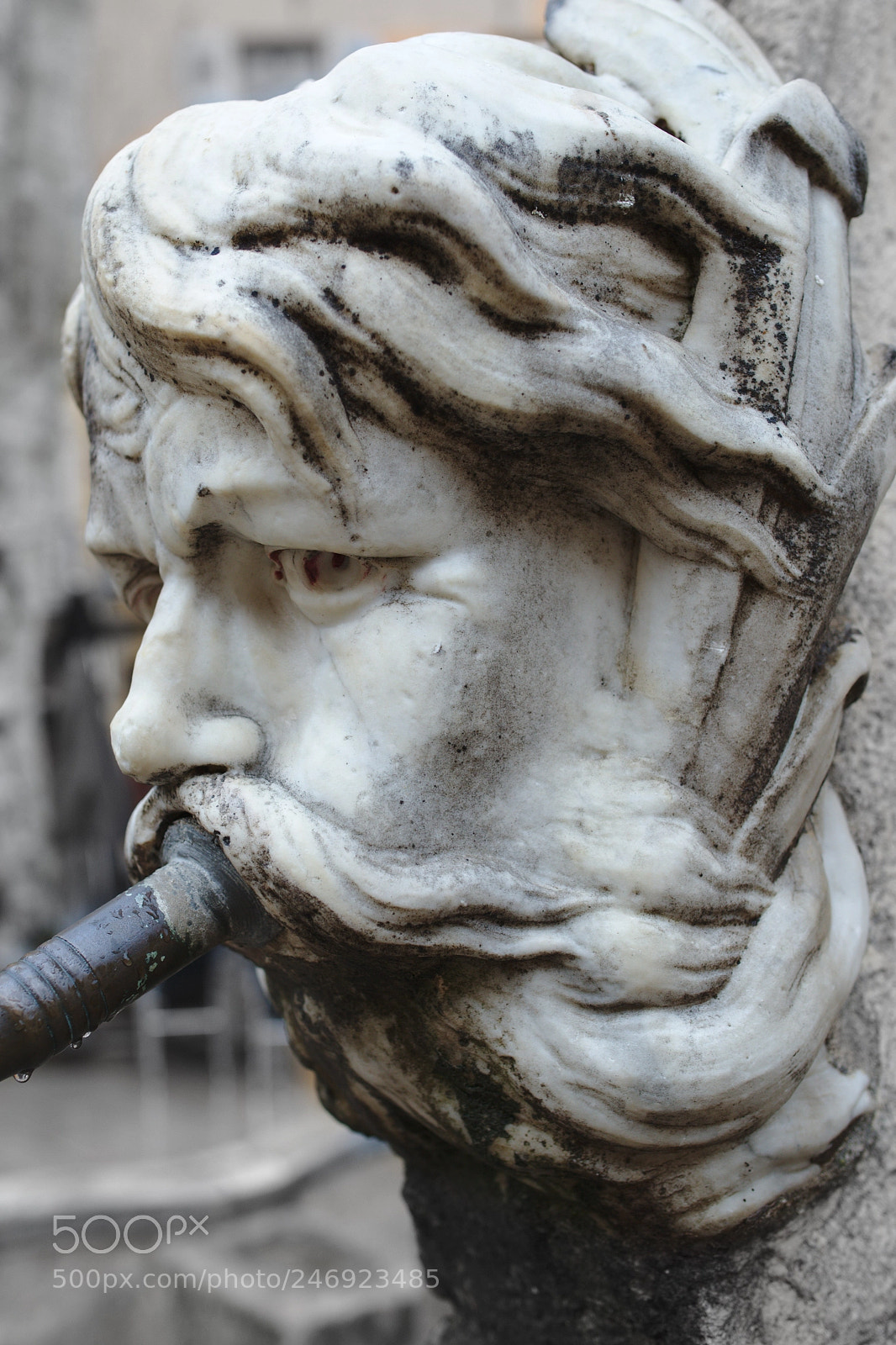 Nikon D800 sample photo. Detail of the fountain photography