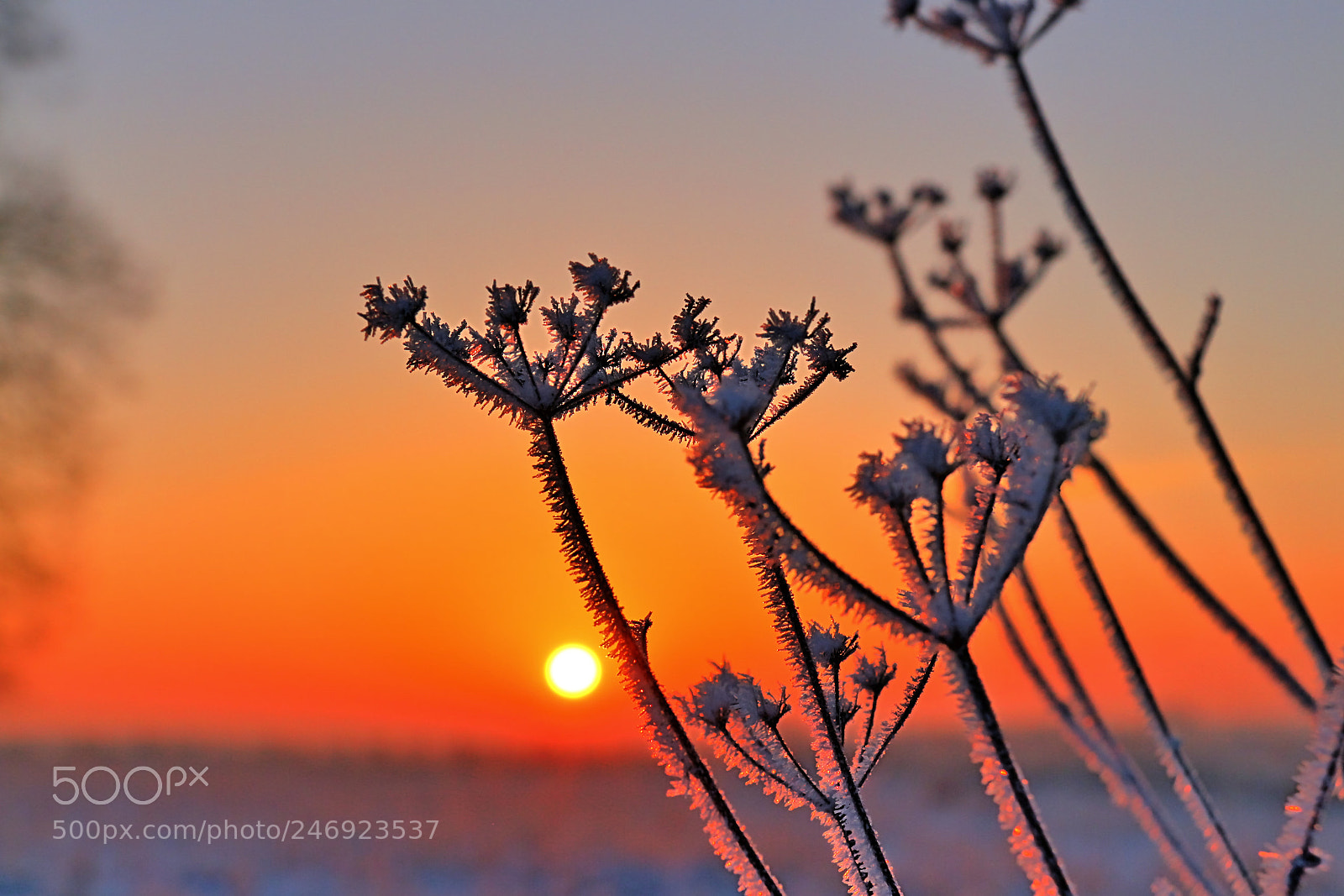 Canon EOS 700D (EOS Rebel T5i / EOS Kiss X7i) sample photo. Sunrise photography
