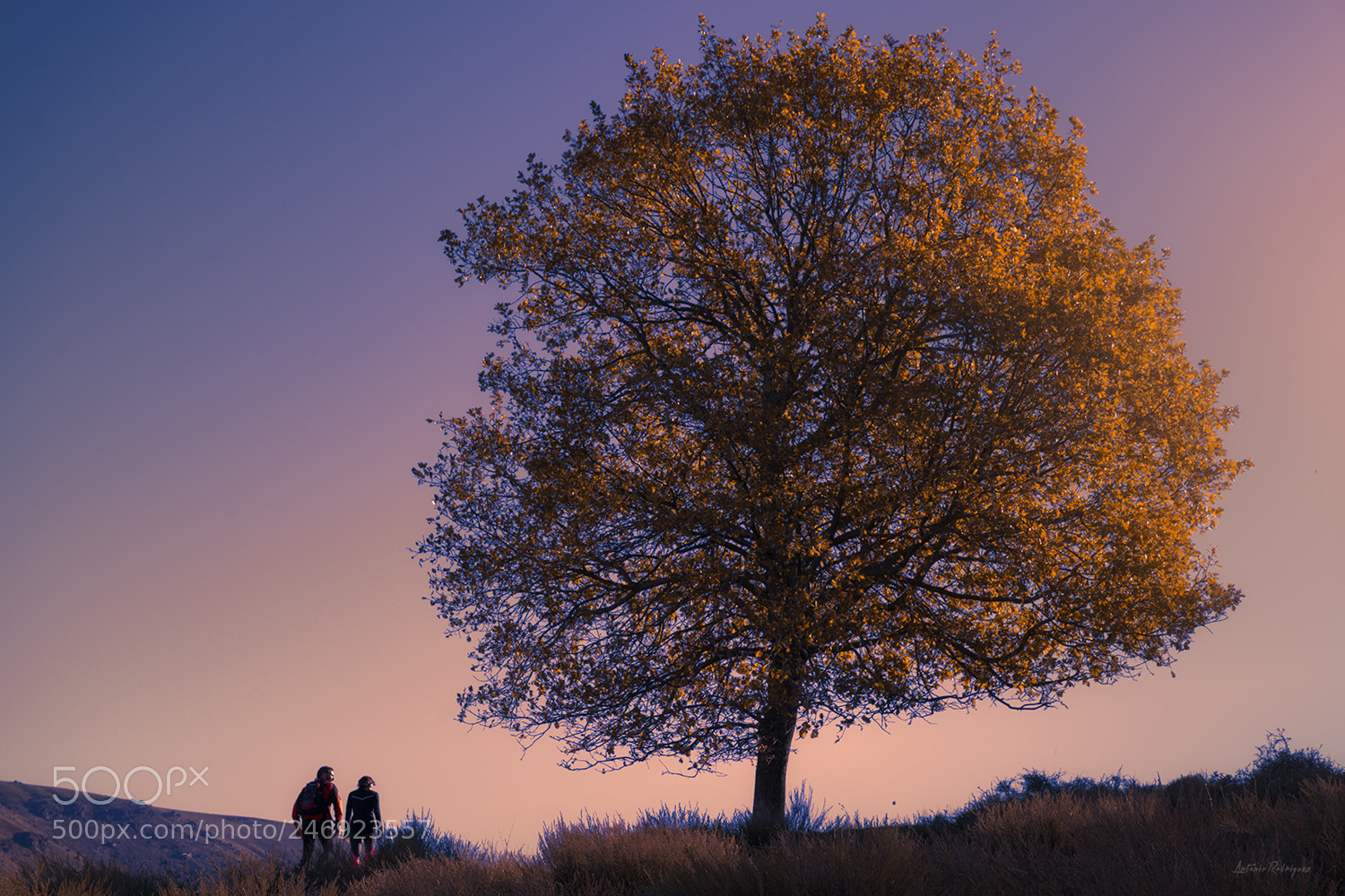Nikon D7100 sample photo. Senderismo photography