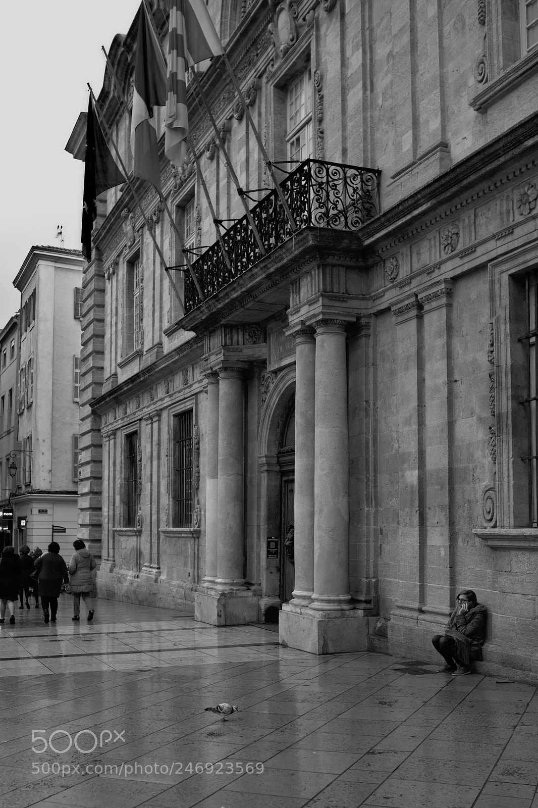 Nikon D800 sample photo. Pigeon at the aix-en-provence photography