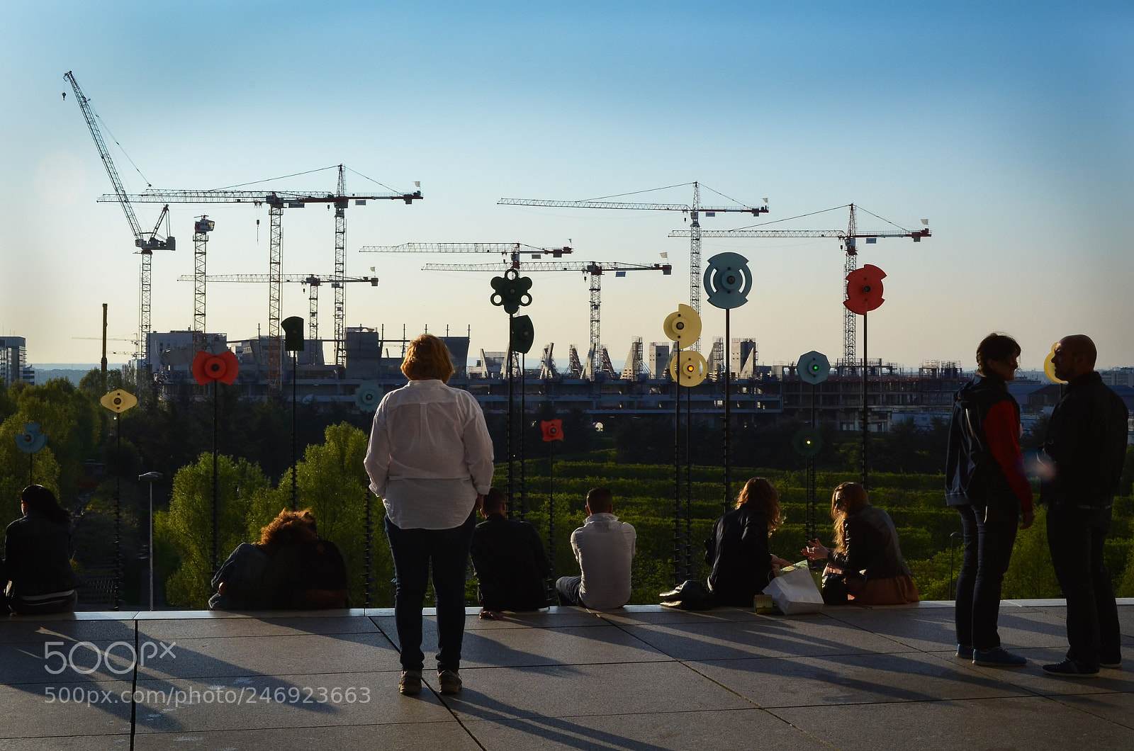 Nikon D5100 sample photo. Cranes or sculptures evening photography
