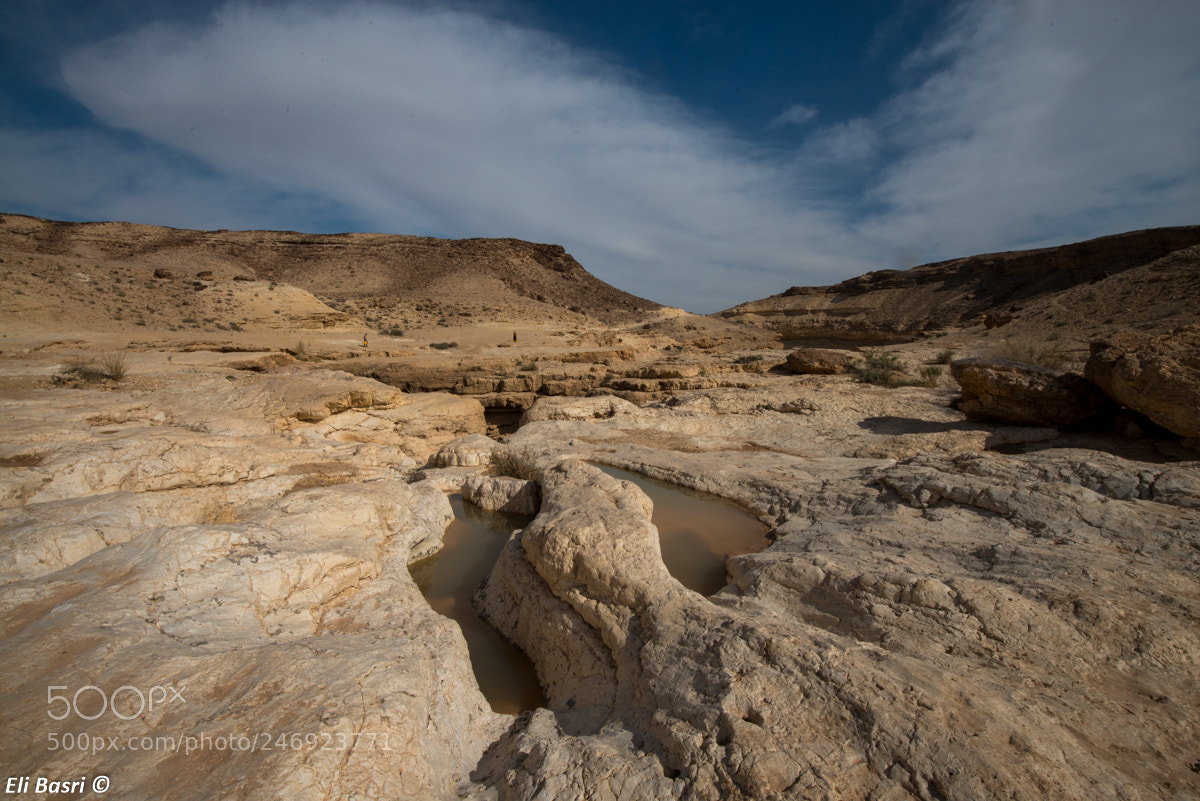 Nikon D800 sample photo. Negev desert photography