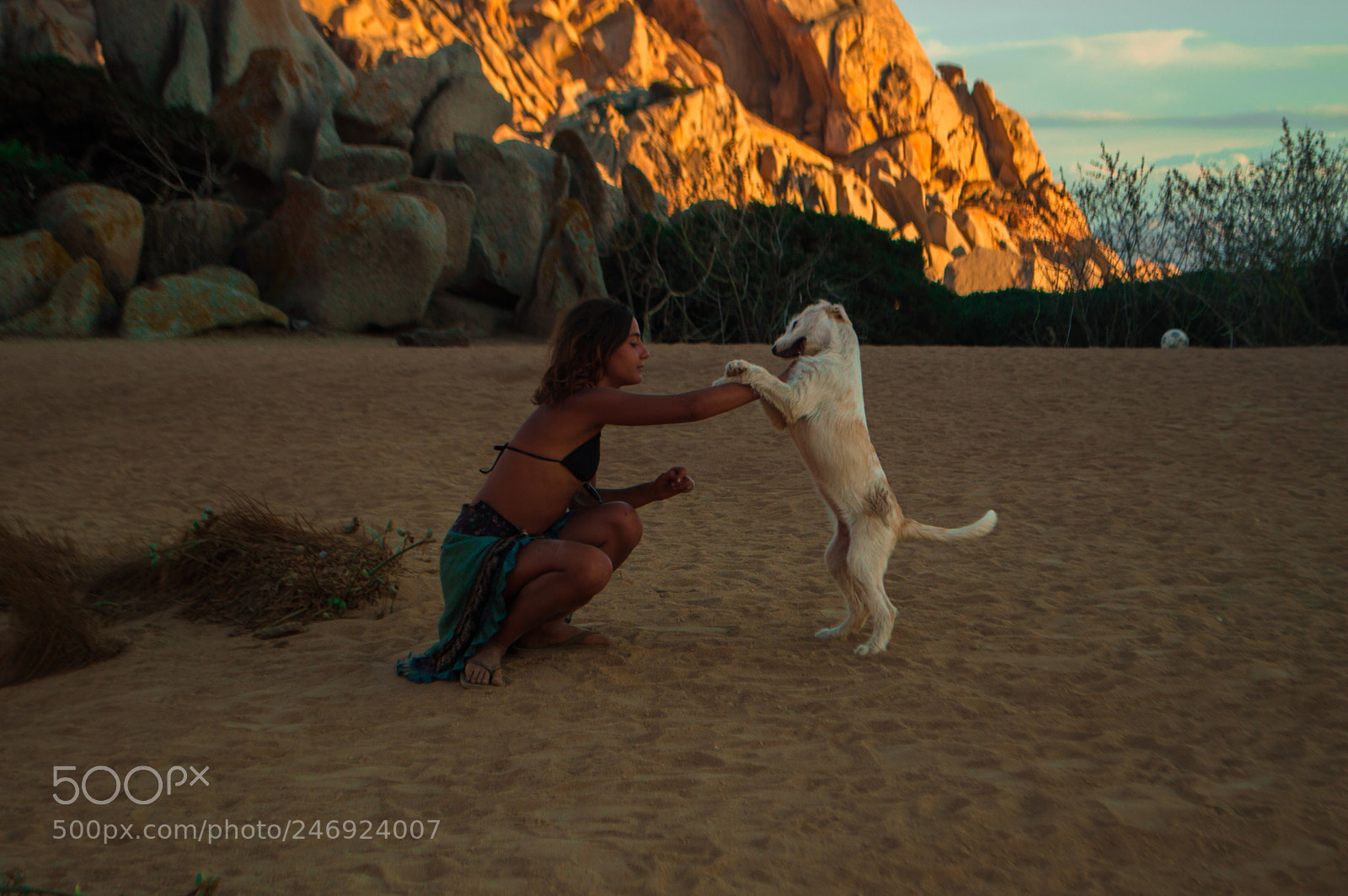 Nikon D3200 sample photo. A dog and a photography