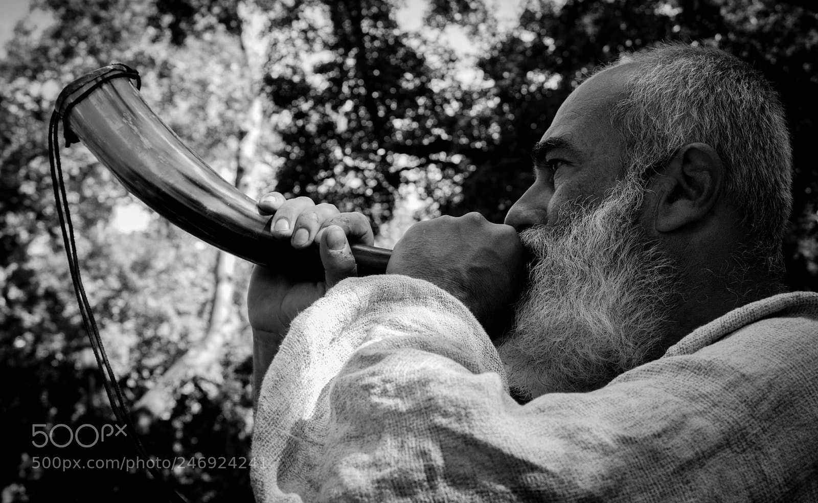 Canon EOS 700D (EOS Rebel T5i / EOS Kiss X7i) sample photo. Gondor calls for help! photography