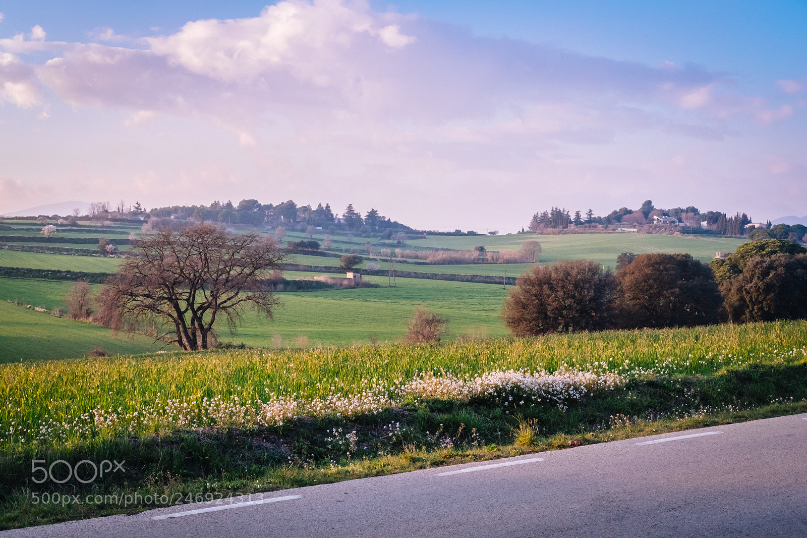 Fujifilm X-T10 sample photo. Printemps est proche photography