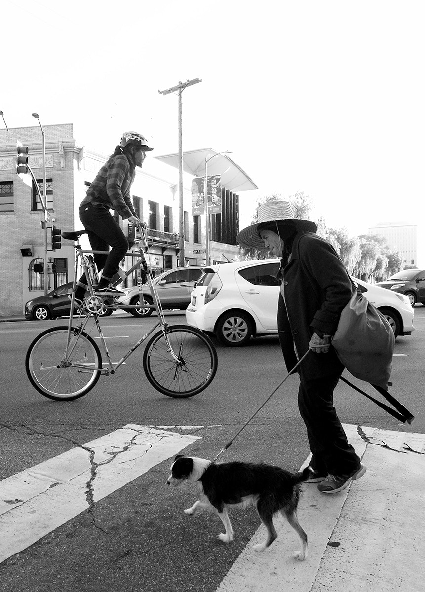 Samsung EX1 sample photo. High bike dog walker web photography