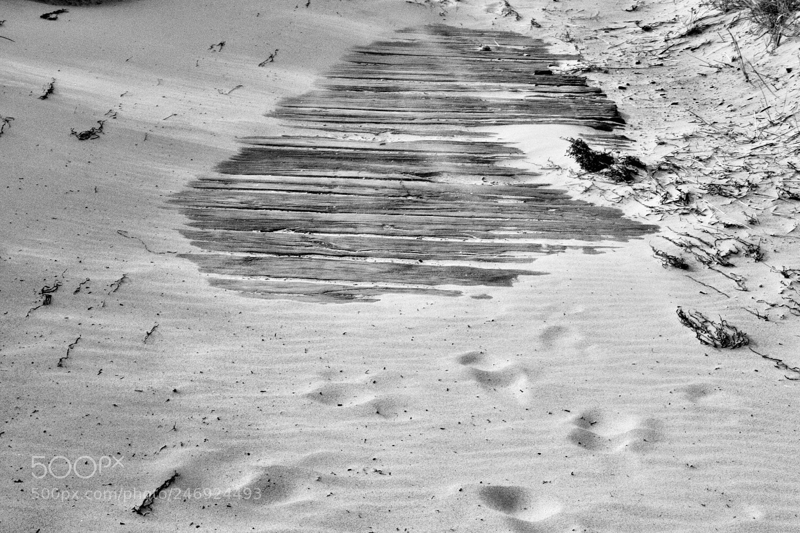Canon EOS 77D (EOS 9000D / EOS 770D) sample photo. Wind worn wooden pathway photography