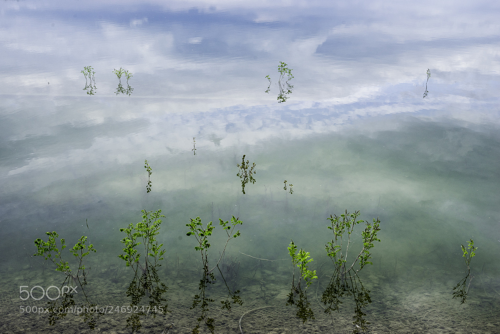 Sony a7 II sample photo. Bilancino lago photography