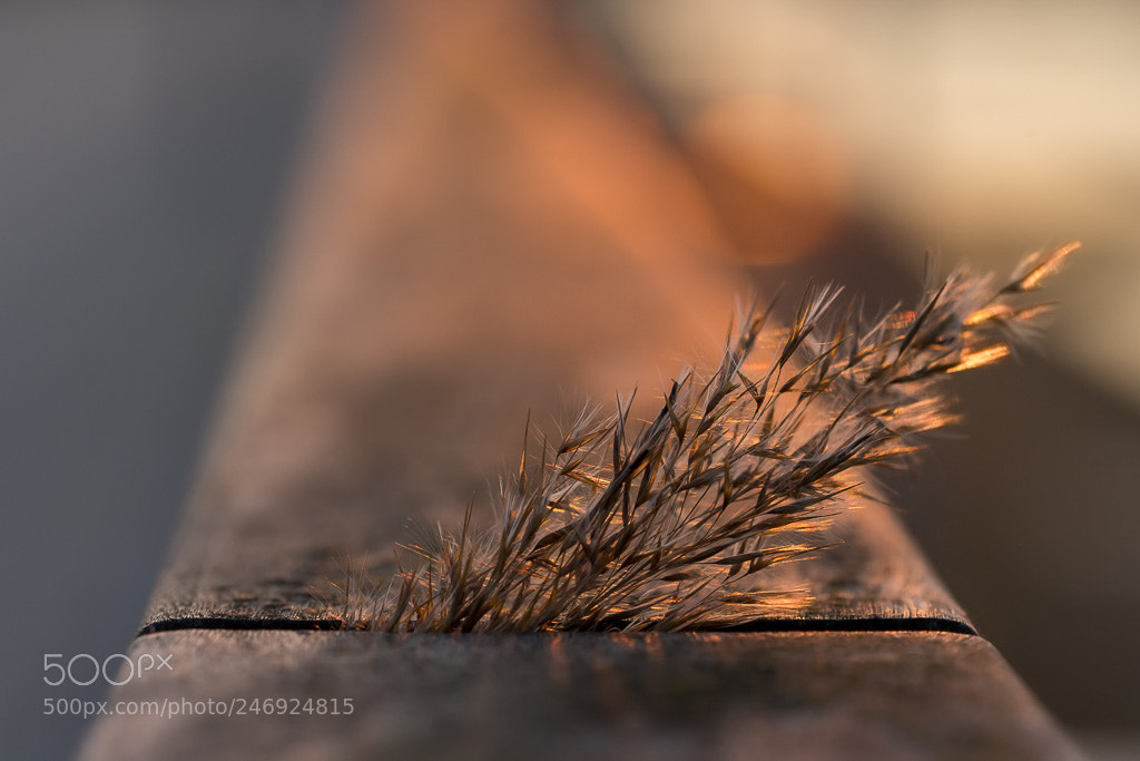 Sony a7 II sample photo. Time photography