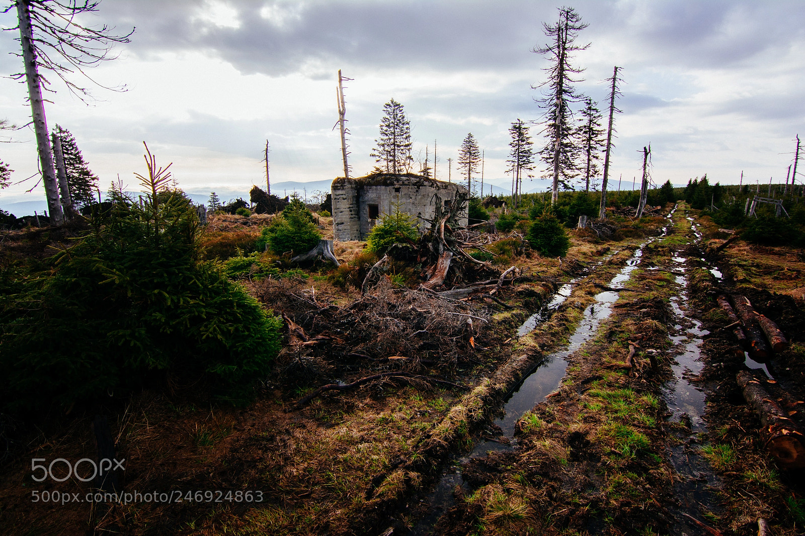 Nikon D7100 sample photo. Czechoslovak fort photography