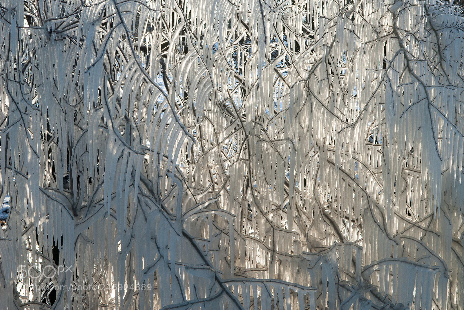 Nikon D200 sample photo. Icicles photography