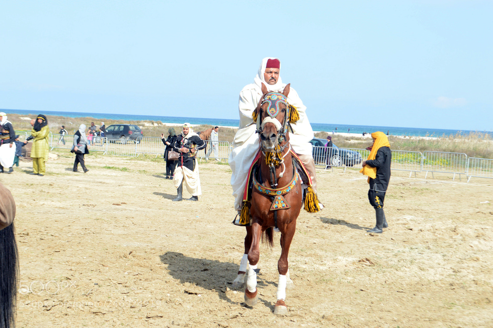 Nikon D3200 sample photo. Tunisian knight photography
