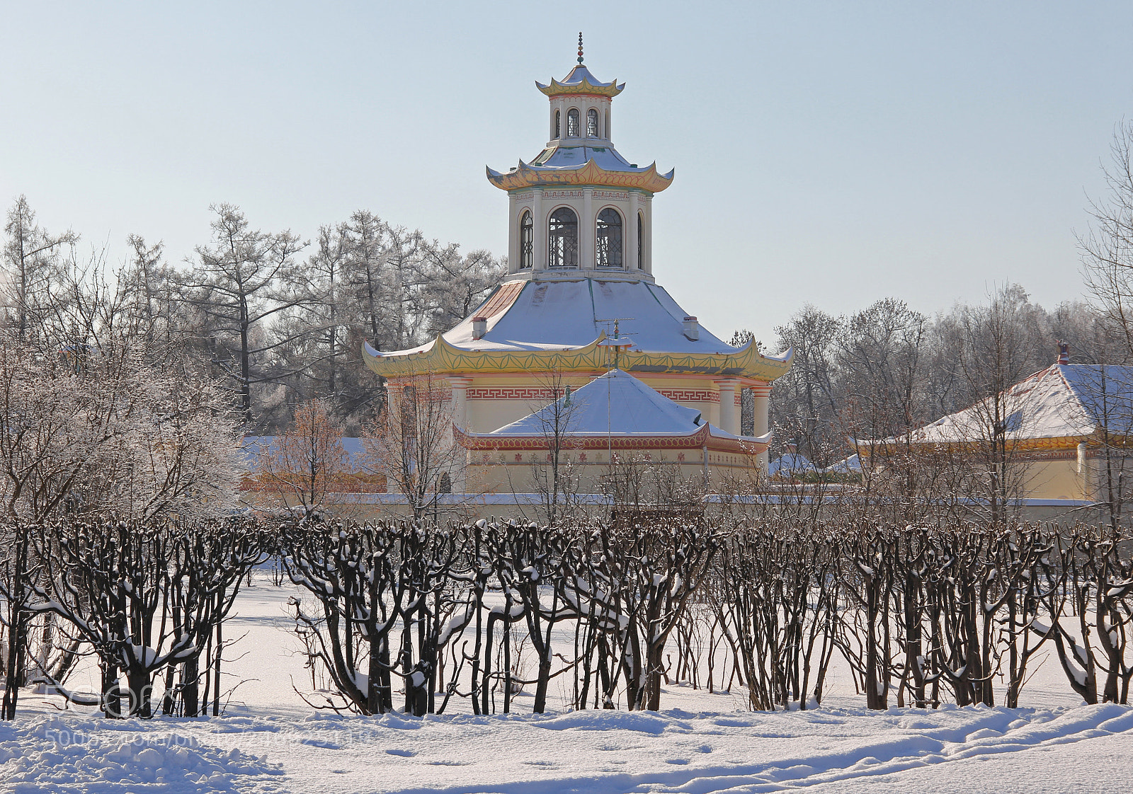 Canon EOS 60D sample photo. Пушкин photography