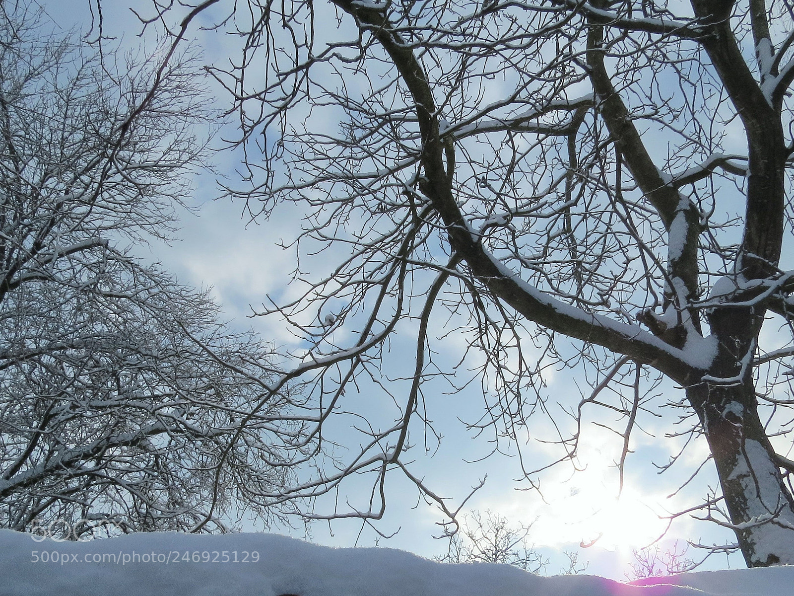 Canon PowerShot SX50 HS sample photo. () photography